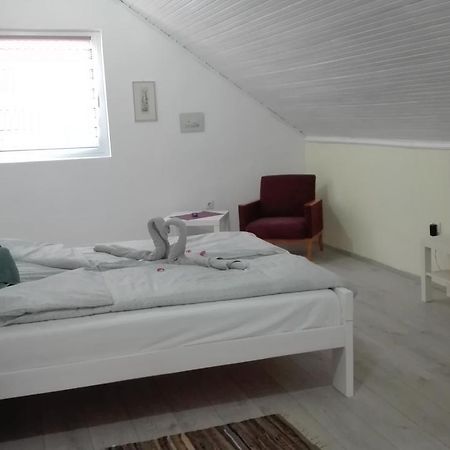 Apartment Dixy Belgrad Zewnętrze zdjęcie